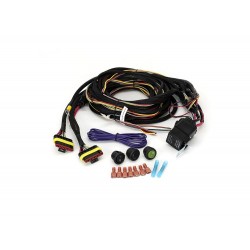 Lazer Two-Lamp Wiring Kit - Long (6-Pin, Superseal, 12V)