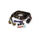 Lazer Two-Lamp Wiring Kit - Long (6-Pin, Superseal, 12V)