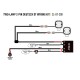 Lazer Two-Lamp Wiring Kit (2 Pin, Deutsch DT, 12V)
